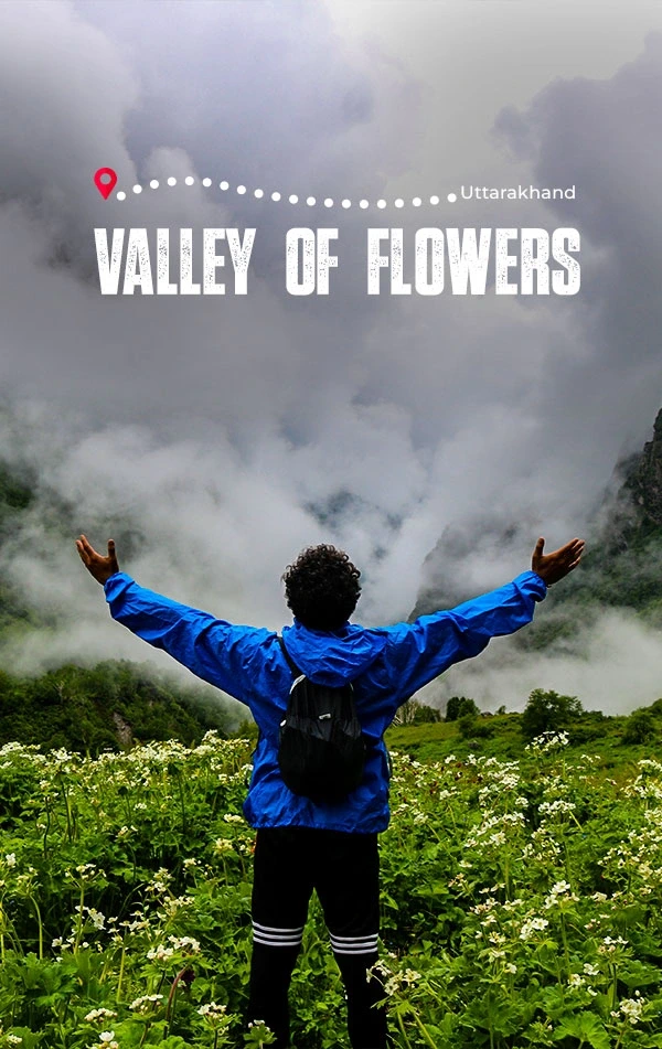 Valley Of Flowers